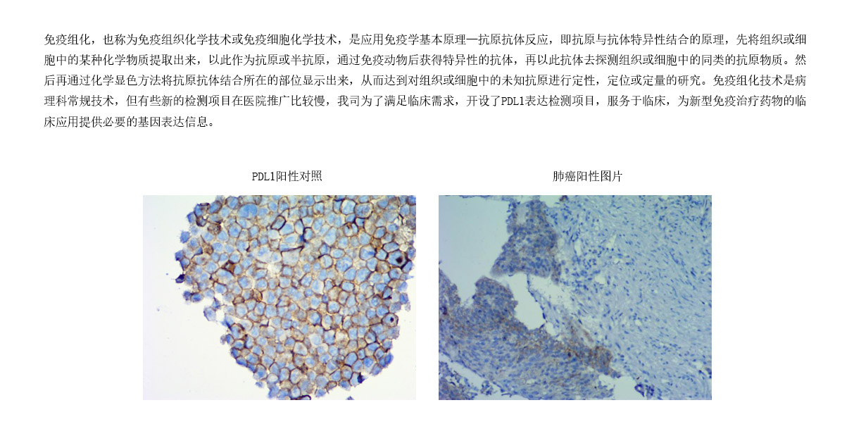 4檢測項(xiàng)目- IHC平臺(tái).jpg